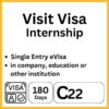 internship visa c22 bali indonesia