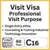 visit visa indonesia 60days professional visit purpose c16