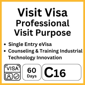 visit visa indonesia 60days professional visit purpose c16