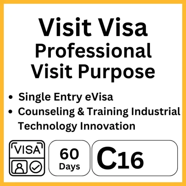 visit visa indonesia 60days professional visit purpose c16
