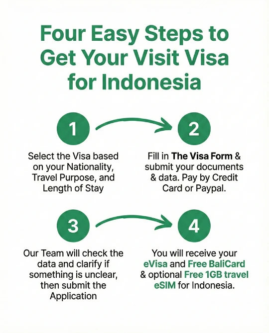 indonesia evisa application steps